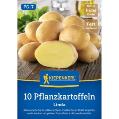 Sadbové brambory Linda - Solanum tuberosum - Kiepenkerl - sadba - 10 ks