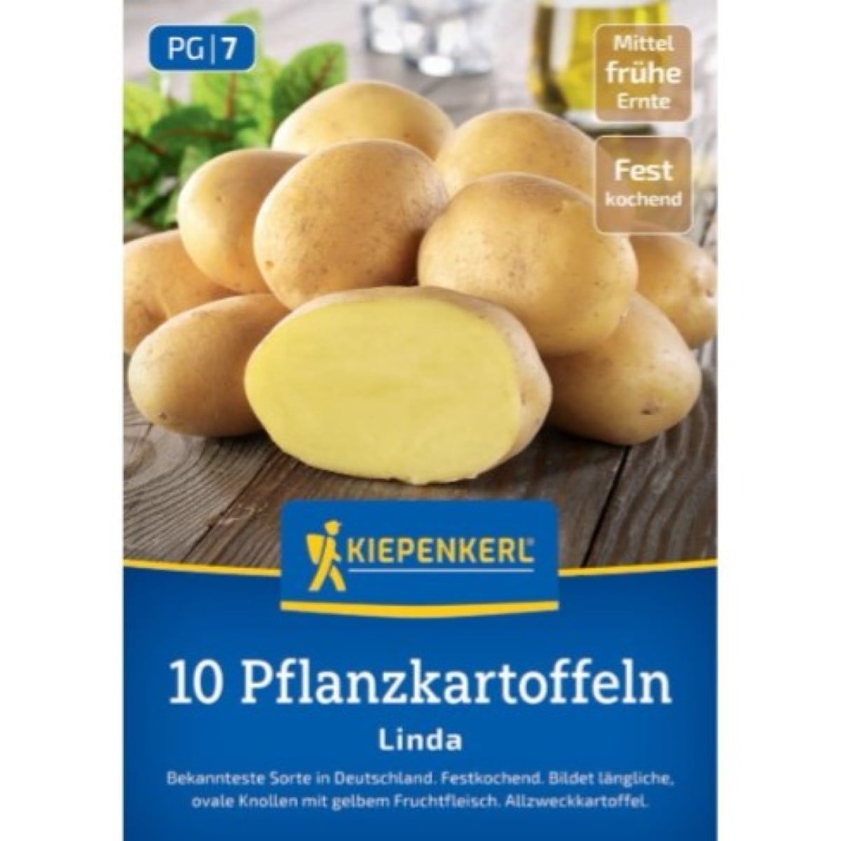 Sadbové brambory Linda - Solanum tuberosum - Kiepenkerl - sadba - 10 ks