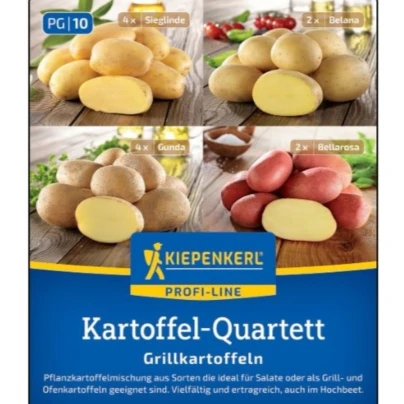 Sadbové brambory - 4 druhy - grilovací - Solanum tuberosum - sadba - 12 ks