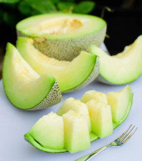 Meloun Tenor F1 - Cucumis melo - osivo melounu - 6 ks