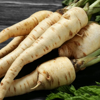 Pastiňák dlouhý bílý Halblange - Pastinaca sativa - osivo pastiňáku - 1 g