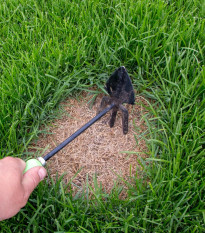 Trávník pro dosev Premium - osivo Kiepenkerl - směs - 25 g