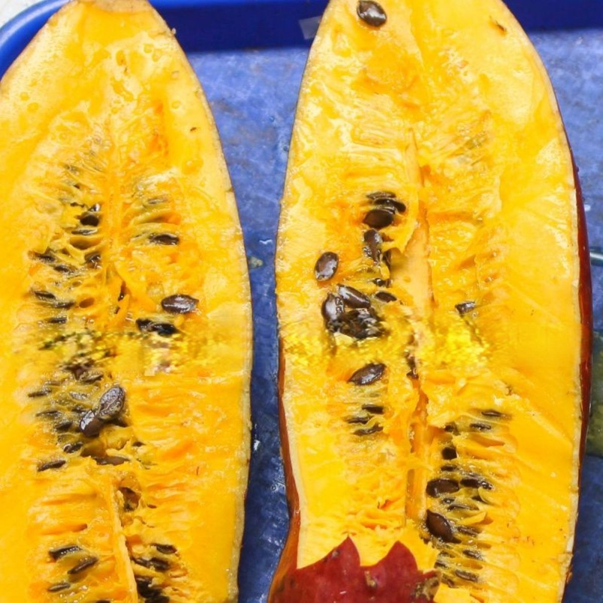 Okurka muškátová - Casabanan - Sicana odorifera - osivo muškátové okurky - 6 ks