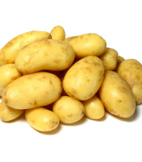 Sadbové brambory Camelia - Solanum tuberosum - sadba - 5 kg