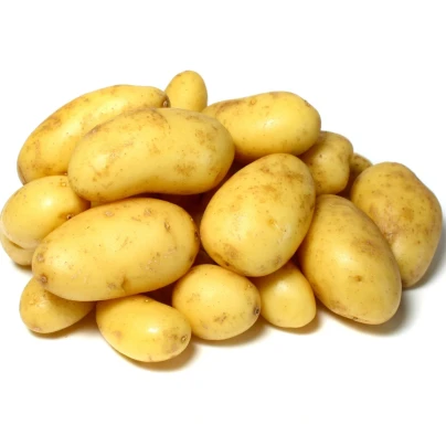Sadbové brambory Camelia - Solanum tuberosum - sadba - 5 kg