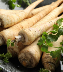 Petržel kořenová Halblange Eagle - Petroselinum crispum - osivo petržele - 500 ks
