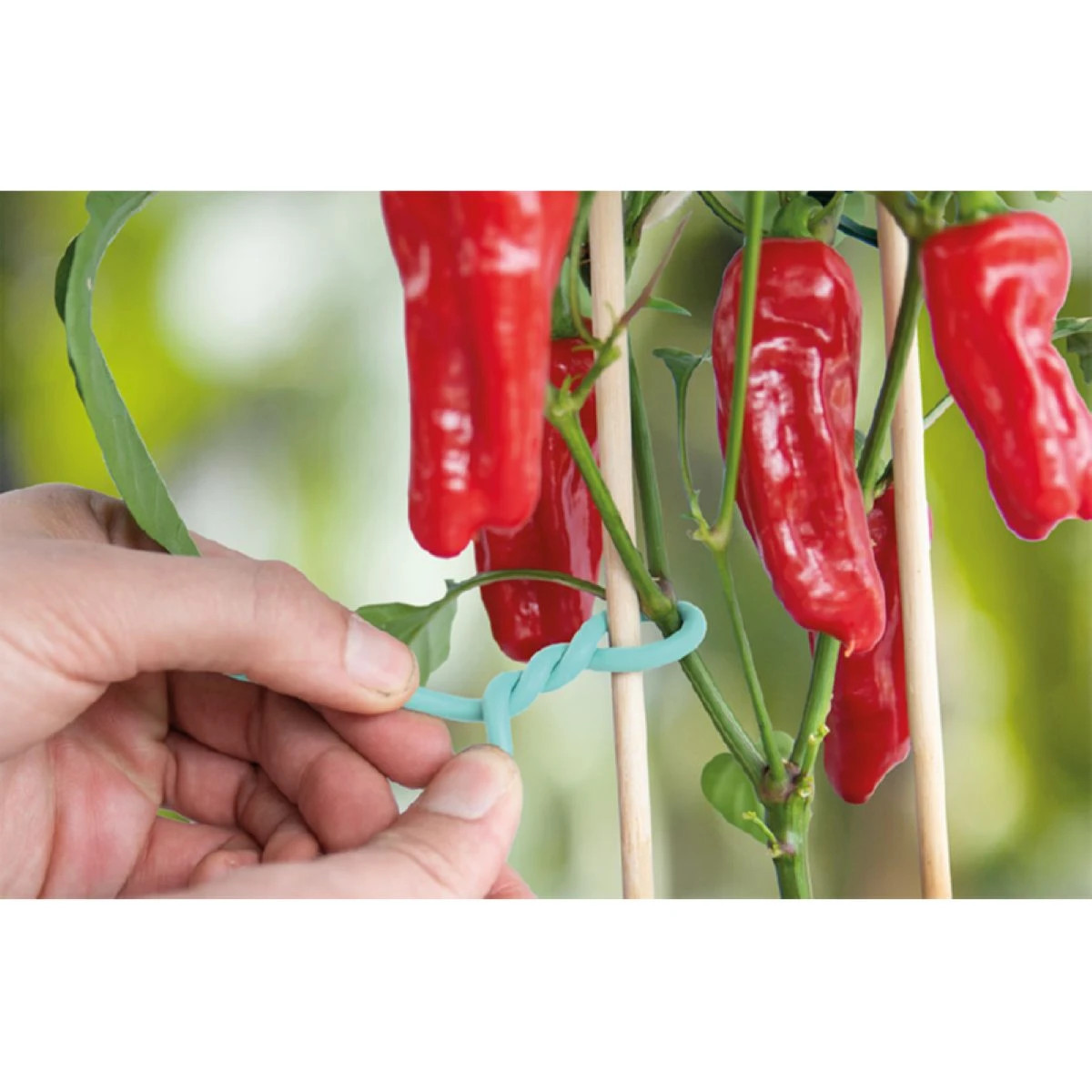 Gumový pás s drátem - SOGO - pěstební pomůcky - 7 m - 1 ks