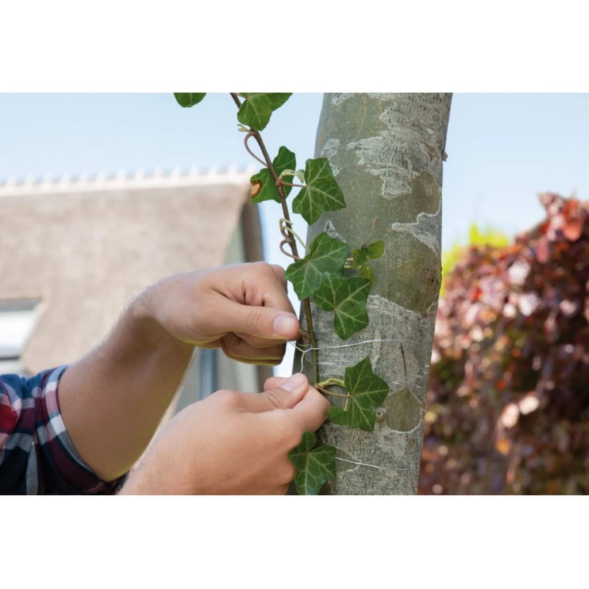 Zahradní drát - SOGO - pěstební pomůcky - 50 m - 1 ks