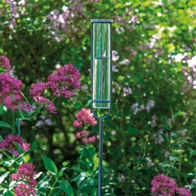 Skleněný dešťoměr - SOGO - pěstební pomůcky - 1 ks