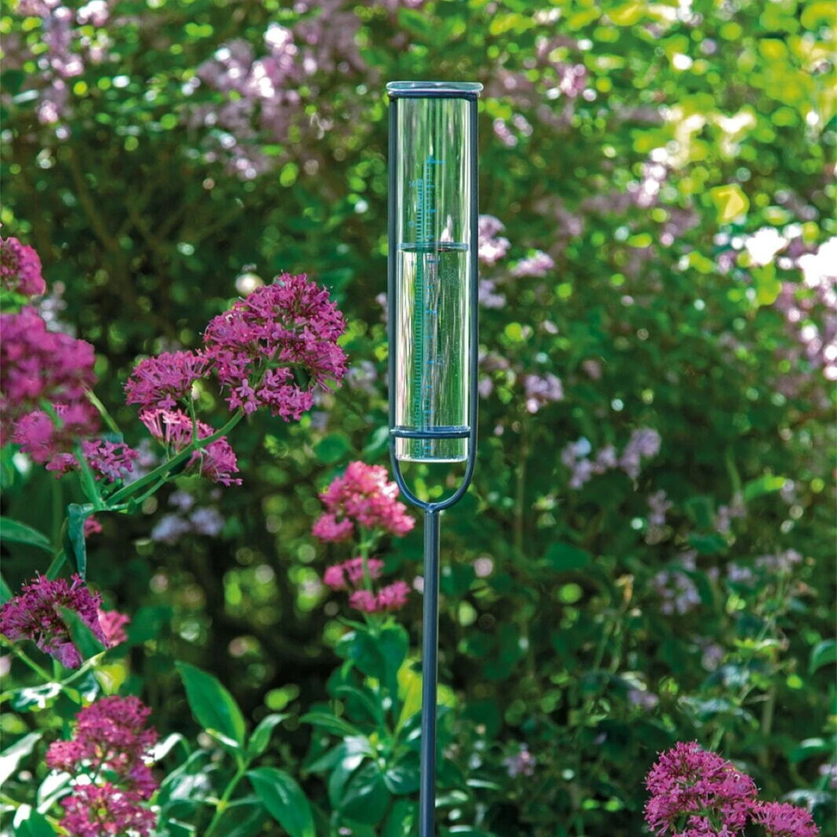 Skleněný dešťoměr - SOGO - pěstební pomůcky - 1 ks