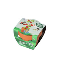 Dárková sada pro pěstování jahod - Pieterpik - 1 ks