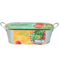 Buzzy - Okenní zahrádka Caprese salát - Pieterpik - 1 ks