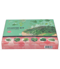 Buzzy - Startovací sada kuchyňské bylinky - Pieterpik - 1 ks