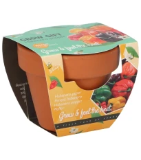 Buzzy Grow Gifts - Mini sada pro pěstování chilli papriky - Pieterpik - 1 ks