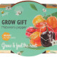 Buzzy Grow Gifts - Mini sada pro pěstování chilli papriky - Pieterpik - 1 ks