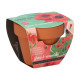 Buzzy Grow Gifts - Mini sada pro pěstování máku - Pieterpik - 1 ks