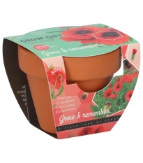 Buzzy Grow Gifts - Mini sada pro pěstování máku - Pieterpik - 1 ks