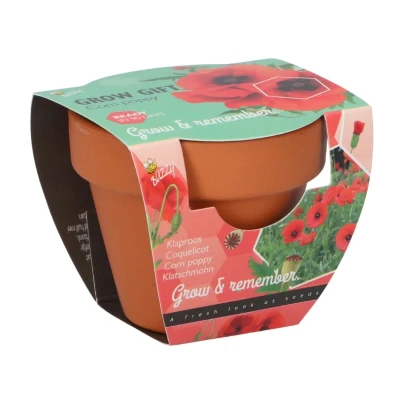 Buzzy Grow Gifts - Mini sada pro pěstování máku - Pieterpik - 1 ks