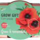 Buzzy Grow Gifts - Mini sada pro pěstování máku - Pieterpik - 1 ks