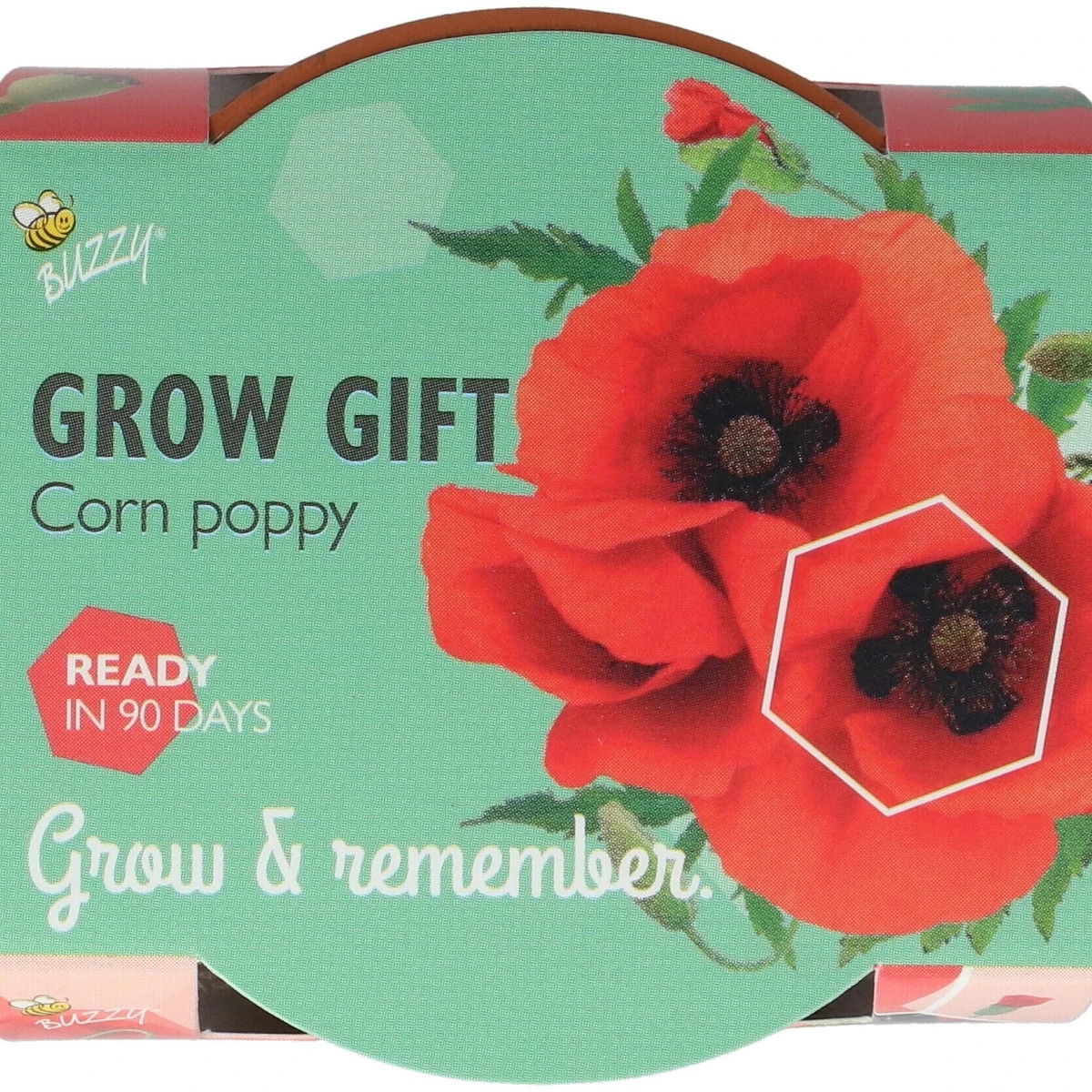 Buzzy Grow Gifts - Mini sada pro pěstování máku - Pieterpik - 1 ks