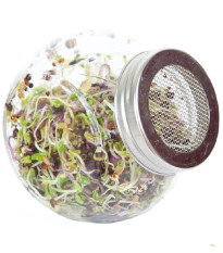 Buzzy - Bio klíčící sklenice Pikantní mix - Pieterpik - 1 ks