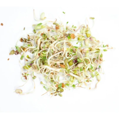 Buzzy - Bio klíčící sklenice Salátový mix - Pieterpik - 1 ks