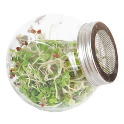 Buzzy - Bio klíčící sklenice Daikon - Pieterpik - 1 ks