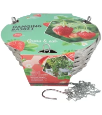 Buzzy - Závěsná zahrádka na pěstování jahod - Pieterpik - 1 ks