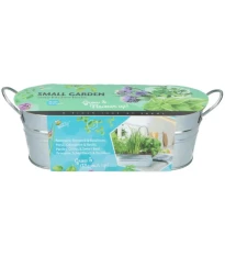 Buzzy - Okenní minizahrádka Kuchyňské bylinky - Pieterpik - 1 ks