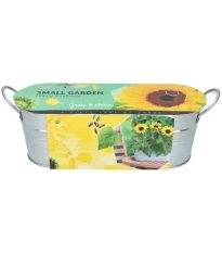 Buzzy - Okenní minizahrádka Slunečnice - Pieterpik - 1 ks