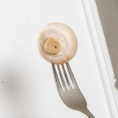 Mini Champ - sada pro domácí pěstování bílých žampionů - Agaricus bisporus - sadba - 1 ks