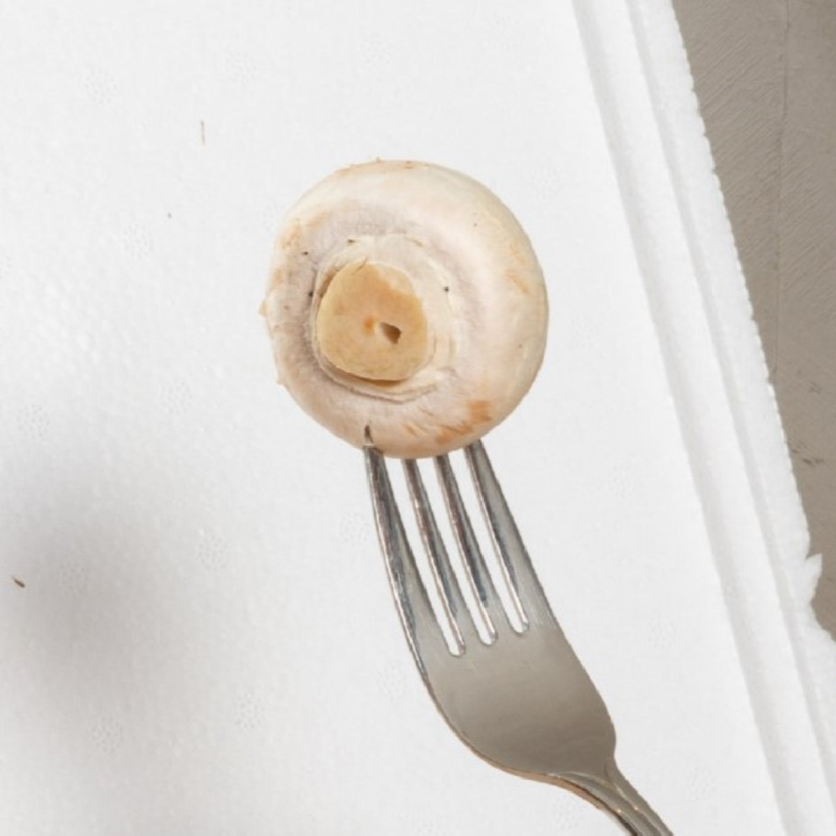 Mini Champ - sada pro domácí pěstování bílých žampionů - Agaricus bisporus - sadba - 1 ks