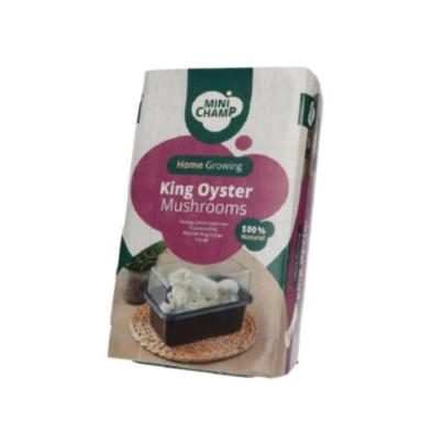 Mini Champ - sada pro domácí pěstování hlívy královské - Pleurotus eryngii - sadba - 1 ks