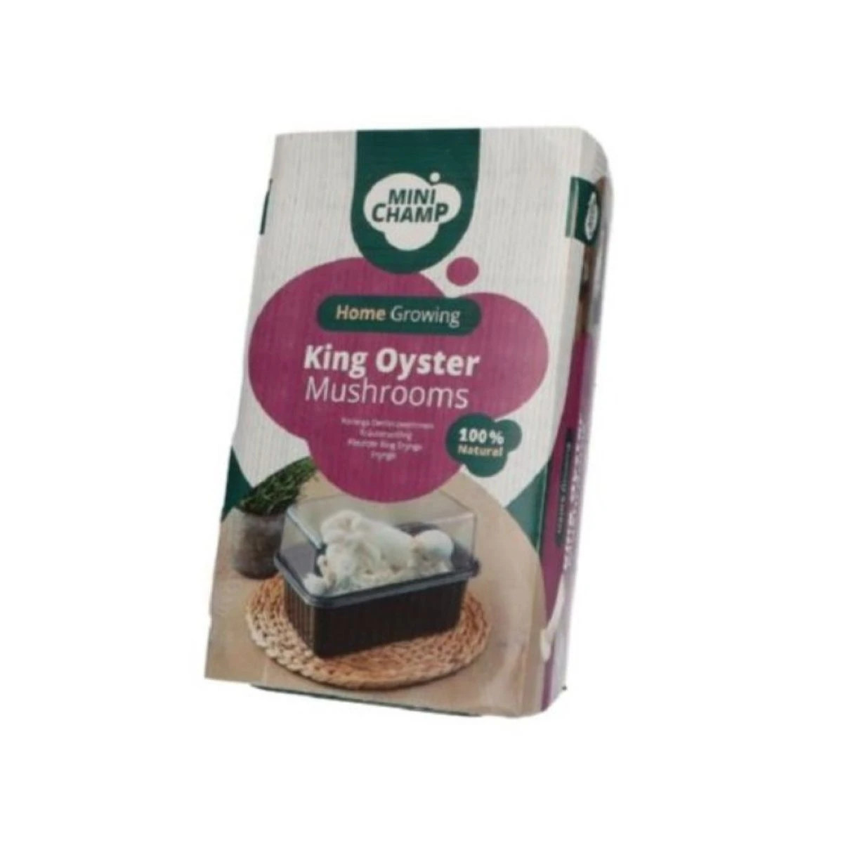 Mini Champ - sada pro domácí pěstování hlívy královské - Pleurotus eryngii - sadba - 1 ks