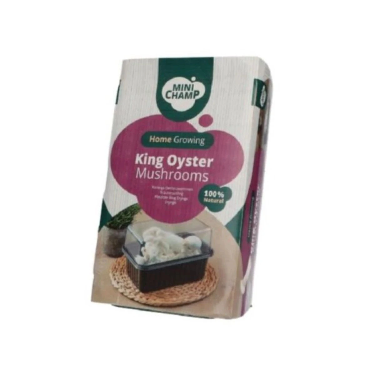 Mini Champ - sada pro domácí pěstování hlívy královské - Pleurotus eryngii - sadba - 1 ks