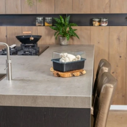 Mini Champ - sada pro domácí pěstování hlívy královské - Pleurotus eryngii - sadba - 1 ks