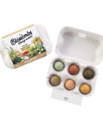 Semínkové bomby - dárkový box na vajíčka - Blossombs - 6 kuliček - 1 balení