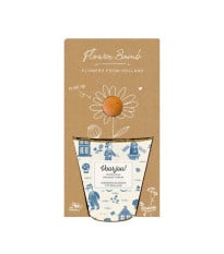 Pěstební set - Grow kit - Holandský mix - Blossombs - 1 ks