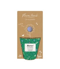 Pěstební set - Grow kit - nízko rostoucí květinová směs - Blossombs - 1 ks