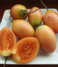Rajčatový strom žlutý Tamarillo - Cyphomandra betacea - osivo rajčatového stromu - 5 ks