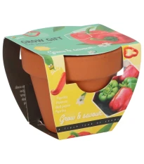Buzzy Grow Gifts - Mini sada pro pěstování papriky - Pieterpik - 1 ks
