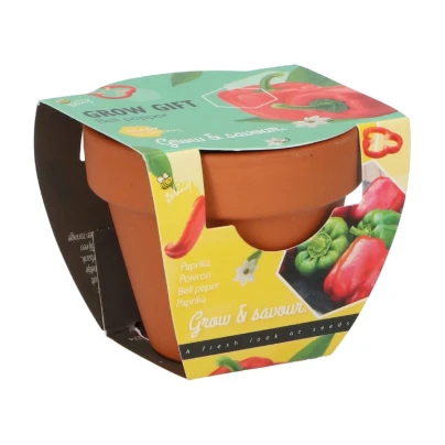 Buzzy Grow Gifts - Mini sada pro pěstování papriky - Pieterpik - 1 ks