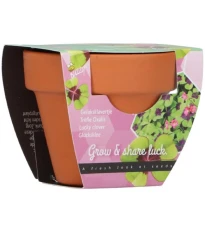 Buzzy Grow Gifts – Mini sada pro pěstování čtyřlístku - Pieterpik - 1 ks