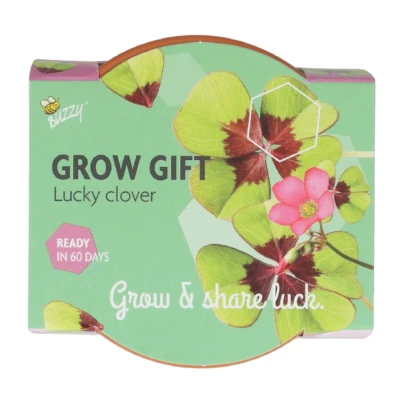 Buzzy Grow Gifts – Mini sada pro pěstování čtyřlístku - Pieterpik - 1 ks