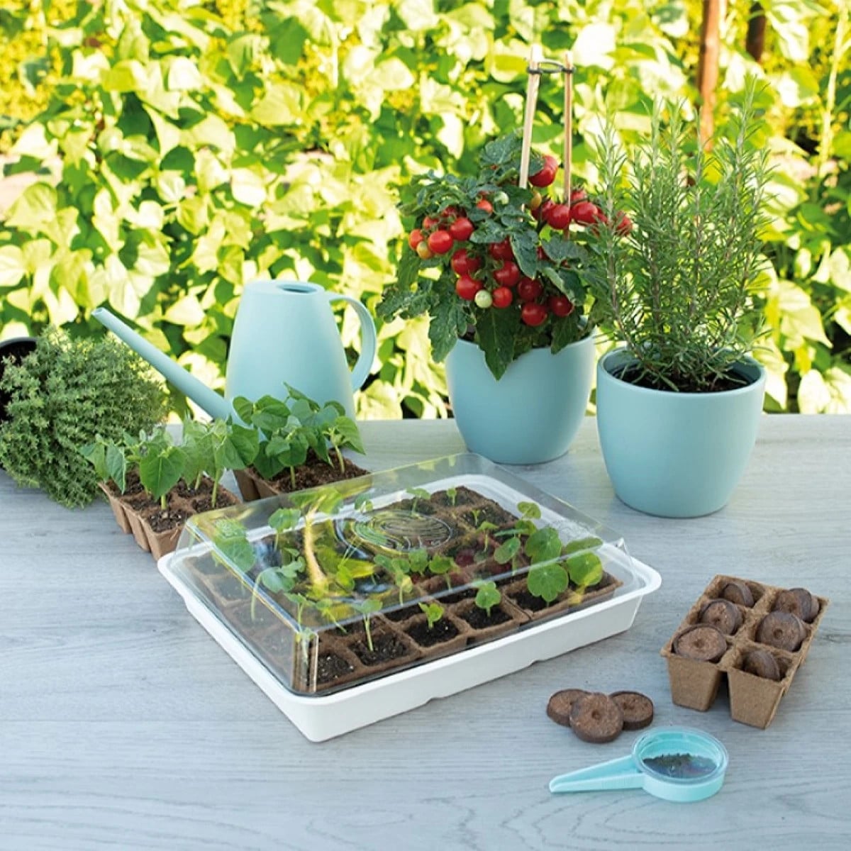 Minipařeniště se sadbovačem SOGO - 8,5 x 32,5 x 26 cm - pěstební pomůcky - 1 ks