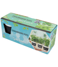 Buzzy - Pěstební sada BIO bylinek s květináči - Pieterpik - 1 ks