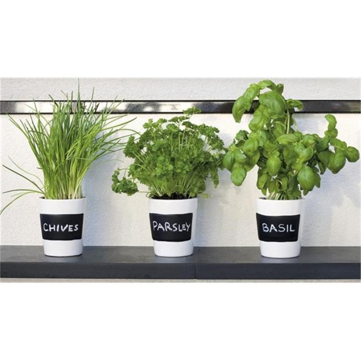 Buzzy - Pěstební sada BIO bylinek s květináči - Pieterpik - 1 ks