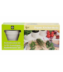 Buzzy - Bio sada bylinek ve 3 květináčích - bílá - Pieterpik - 3 ks