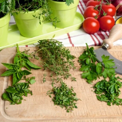 Buzzy - Bio sada bylinek ve 3 květináčích - bílá - Pieterpik - 3 ks