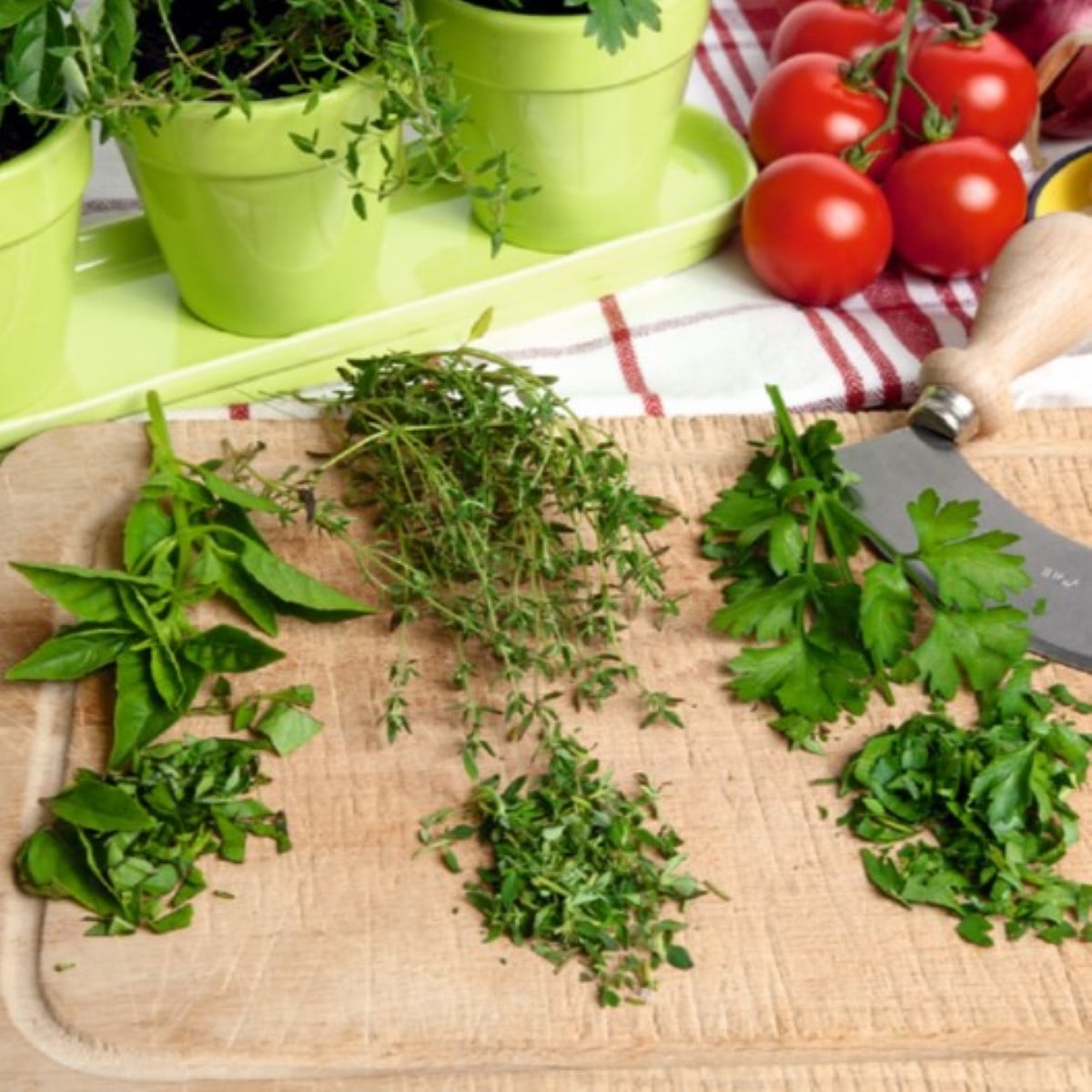 Buzzy - Bio sada bylinek ve 3 květináčích - bílá - Pieterpik - 3 ks